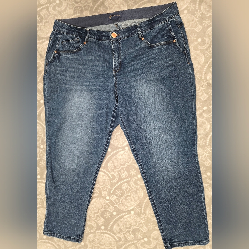 Democracy Women's Skinny Jeans, 22W